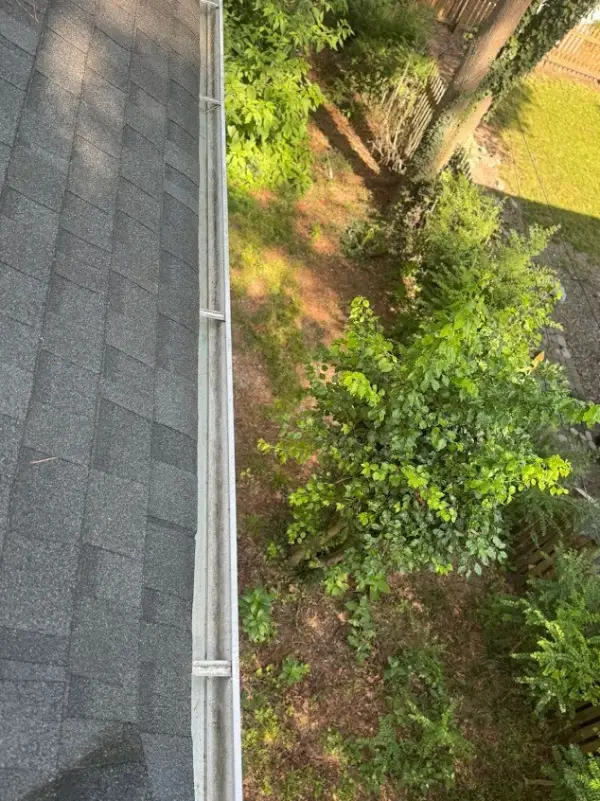 Professional Pressure Washing Services Professional Pressure Washing Services