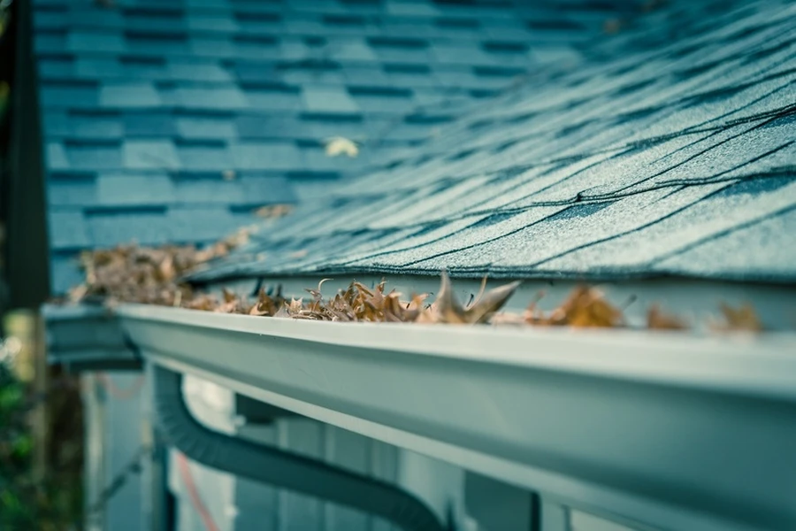 Signs Your Gutters Need Professional Cleaning Services in Gastonia, NC Signs Your Gutters Need Professional Cleaning Services in Gastonia, NC
