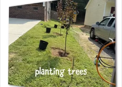 Affordable House Pressure Washing